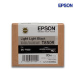 Tinta Epson T850900 Light Light Black 80ML SC-P800